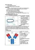 Summaries, Notes 'Mikrobioloģija - antigēns un antiviela', 6.