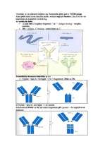 Summaries, Notes 'Mikrobioloģija - antigēns un antiviela', 7.