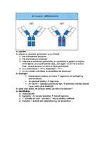Summaries, Notes 'Mikrobioloģija - antigēns un antiviela', 11.