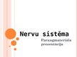 Presentations 'Prezentācija par nervu sistēmu', 1.