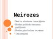 Presentations 'Prezentācija par nervu sistēmu', 7.