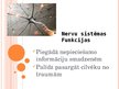 Presentations 'Prezentācija par nervu sistēmu', 10.