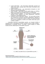 Research Papers 'Grunšu nestspējas pastiprināšanas paņēmieni', 12.