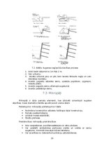 Research Papers 'Grunšu nestspējas pastiprināšanas paņēmieni', 29.