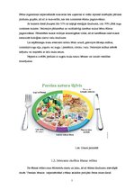 Research Papers 'Veselīga uztura nozīme skolas vecuma bērnu attīstībā', 7.