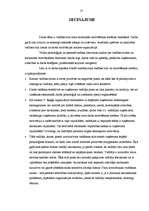 Research Papers 'Vadības stila loma darbinieku motivēšanas sistēmas veidošanā', 27.