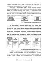 Research Papers 'Patērētāja uzvedība un psiholoģija', 7.