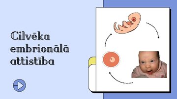 Presentations 'Cilvēka embrionālā attistība', 1.