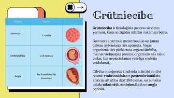 Presentations 'Cilvēka embrionālā attistība', 2.