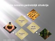 Research Papers 'Latvijas meža nozare: pašreizējā situācija un attīstības iespējas', 33.