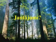 Research Papers 'Latvijas meža nozare: pašreizējā situācija un attīstības iespējas', 39.