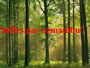 Research Papers 'Latvijas meža nozare: pašreizējā situācija un attīstības iespējas', 40.