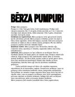 Summaries, Notes 'Bērza pumpuri', 1.