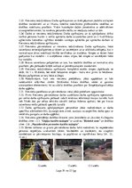 Research Papers 'Darba aizsardzības instrukcija zemes rakšanas un cauruļvadu montāžas darbiem', 19.