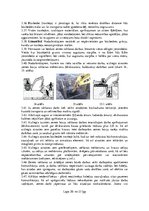 Research Papers 'Darba aizsardzības instrukcija zemes rakšanas un cauruļvadu montāžas darbiem', 20.