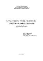 Term Papers 'Latvijas tūrisma zīmoli: atpazīstamība un identitāte starptautiskā vidē', 1.