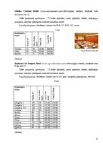 Research Papers 'Konferenču un semināru organizēšanas iespējas Rīgas viesnīcās', 22.