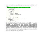 Samples 'Eksāmena atbildes Medicīniskās attēlošanas fizikālie pamati', 19.