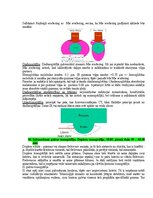 Samples 'Eksāmena atbildes Medicīniskās attēlošanas fizikālie pamati', 87.