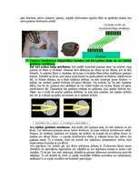 Samples 'Eksāmena atbildes Medicīniskās attēlošanas fizikālie pamati', 88.