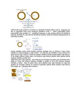 Samples 'Eksāmena atbildes Medicīniskās attēlošanas fizikālie pamati', 95.