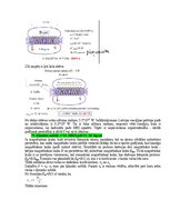 Samples 'Eksāmena atbildes Medicīniskās attēlošanas fizikālie pamati', 107.