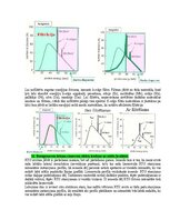 Samples 'Medicīniskās attēlošanas fizikālie pamati', 21.