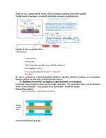 Samples 'Medicīniskās attēlošanas fizikālie pamati', 56.