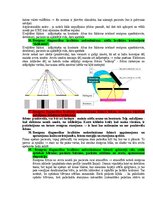 Samples 'Medicīniskās attēlošanas fizikālie pamati', 67.