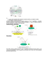 Samples 'Medicīniskās attēlošanas fizikālie pamati', 86.