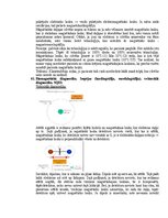 Samples 'Medicīniskās attēlošanas fizikālie pamati', 93.
