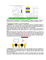 Samples 'Medicīniskās attēlošanas fizikālie pamati', 111.