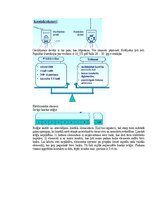 Samples 'Medicīniskās attēlošanas fizikālie pamati', 128.