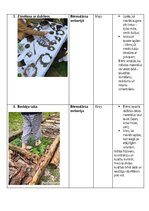 Summaries, Notes 'Patstāvīgais darbs dabaszinību metodikā - Darbs dabā pavasarī', 11.