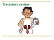 Presentations 'Excretory System', 1.