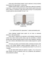 Research Papers 'Karjeras attīstības iespējas organizācijā RP SIA "Rīgas satiksme"', 34.