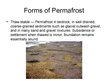Presentations 'Permafrost and Soil Fluction', 8.
