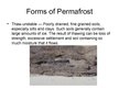Presentations 'Permafrost and Soil Fluction', 9.
