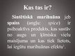 Presentations 'Sintētiskā marihuāna jeb spaiss', 2.