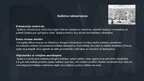 Presentations 'Spāņu un portugāļu kolonizācija Ziemeļamerikā un Dienvidamerikā ', 6.