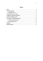 Research Papers 'Pašvaldību vēlēšanas Latvijā', 2.