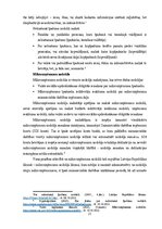 Term Papers 'Iedzīvotāju ienākuma nodokļa izvērtējums  Baltijas valstīs', 21.