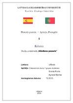 Research Papers 'Pireneju pussala - Spānija, Portugāle, attiecības ar Latviju', 1.
