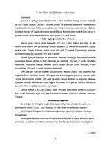 Research Papers 'Pireneju pussala - Spānija, Portugāle, attiecības ar Latviju', 17.