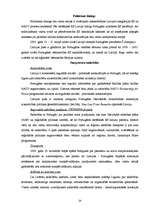 Research Papers 'Pireneju pussala - Spānija, Portugāle, attiecības ar Latviju', 24.