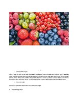 Research Papers 'Latvijas ogas', 3.