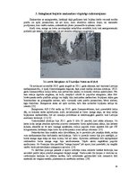Term Papers '2010.gada snieglauzēs bojāto egļu audžu potenciālo zaudējumu analīze AS "Latvija', 16.