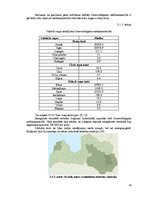 Term Papers '2010.gada snieglauzēs bojāto egļu audžu potenciālo zaudējumu analīze AS "Latvija', 19.