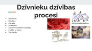 Presentations 'Dzīvnieku dzīvības procesi', 2.
