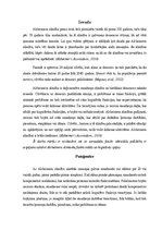 Research Papers 'Fizioterapijas ietekme uz Alcheimera slimības slimnieku kognitīvo un funkcionālo', 4.